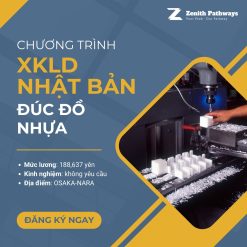 Đơn đúc nhựa